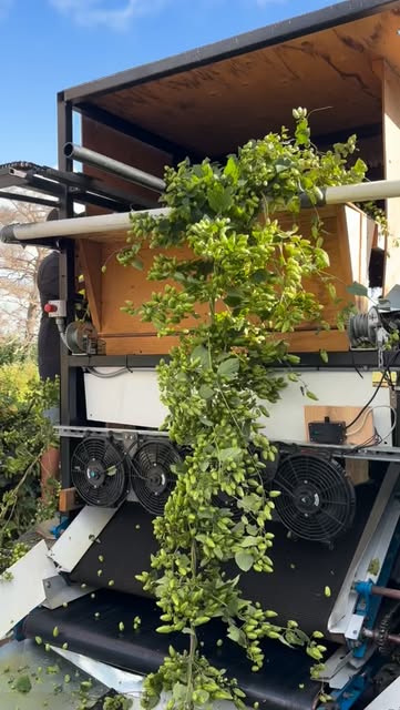Hop harvest reel cover